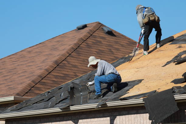 Fast & Reliable Emergency Roof Repairs in Olla, LA